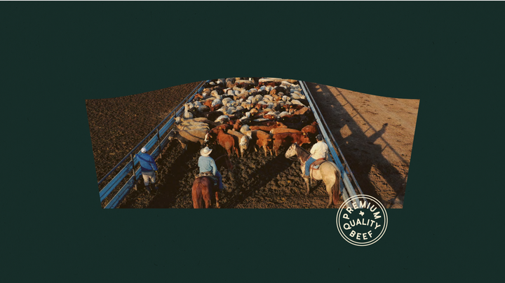 Our Beef – Fort Worth Cattle Co